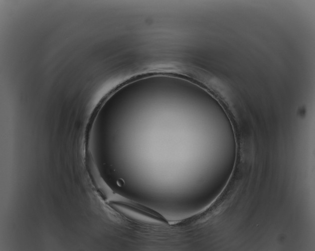 X0000093491328200710191219