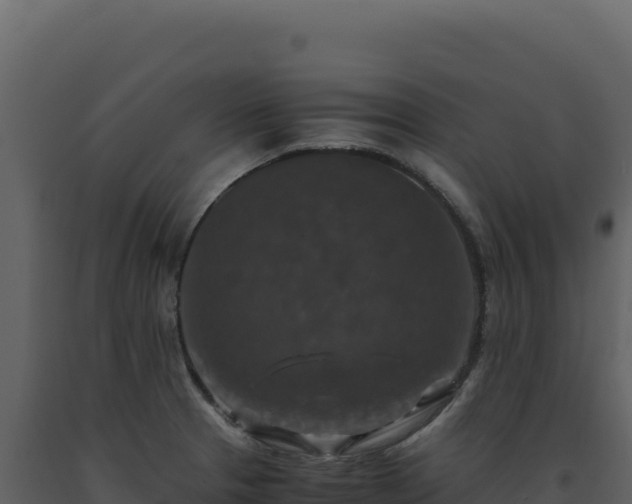 X0000093491329200710191219