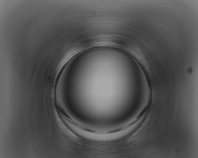 X0000093491330200710191219