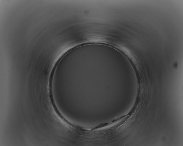 X0000093491331200710191219