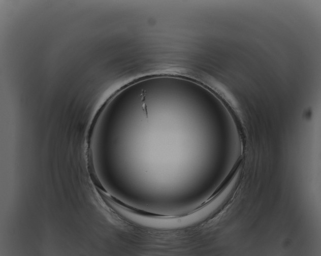 X0000093491332200710191219