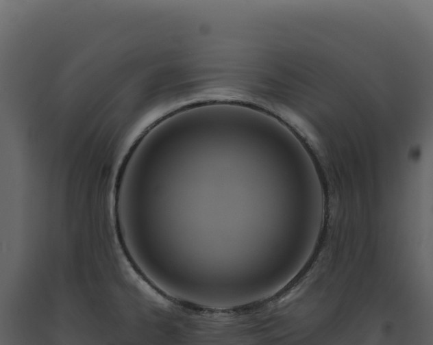 X0000093491334200710191219