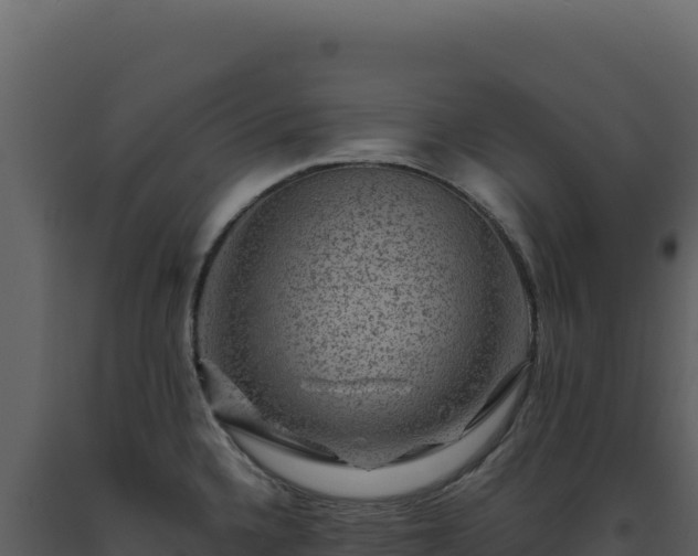X0000093491336200710191219