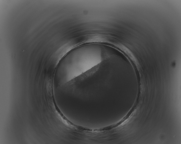X0000093491337200710191219