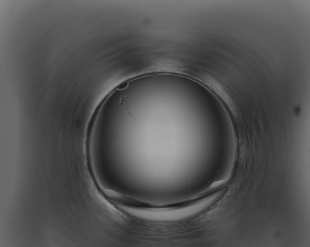 X0000093491339200710191219
