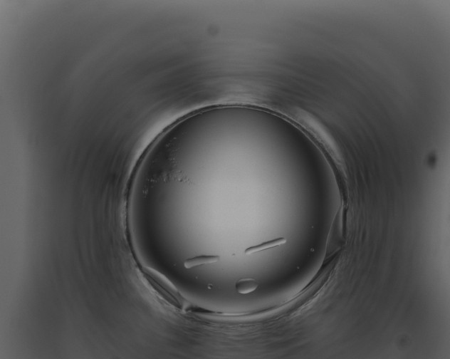 X0000093491340200710191219