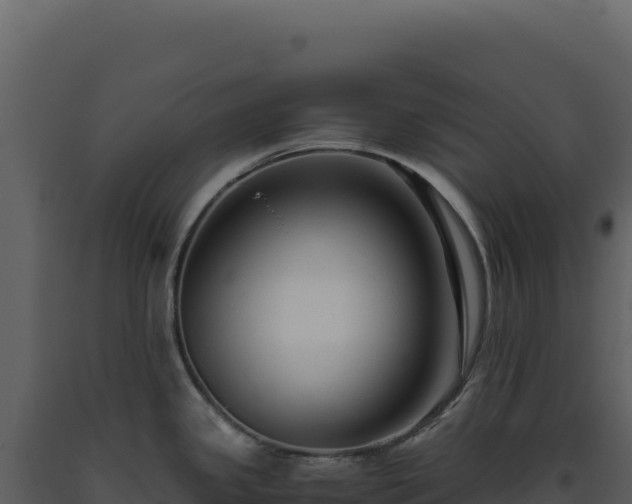 X0000093491341200710191219