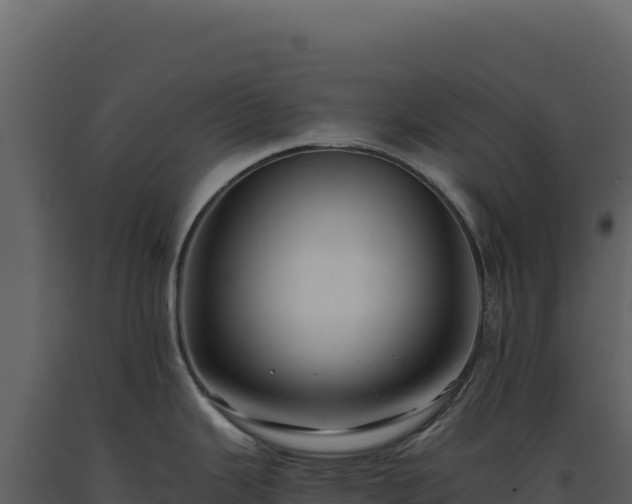 X0000093491343200710191219
