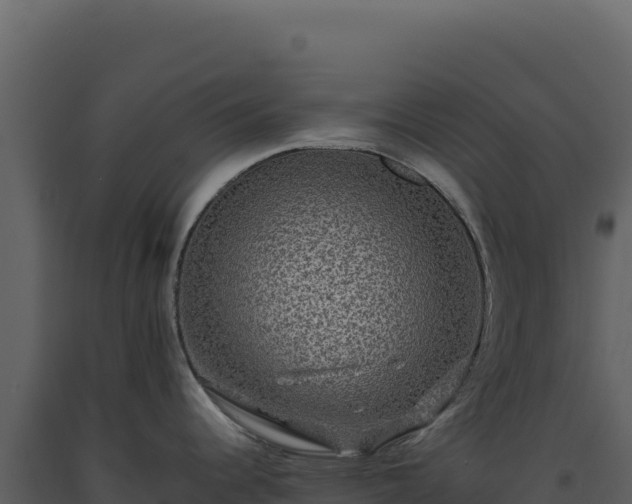 X0000093491344200710191219