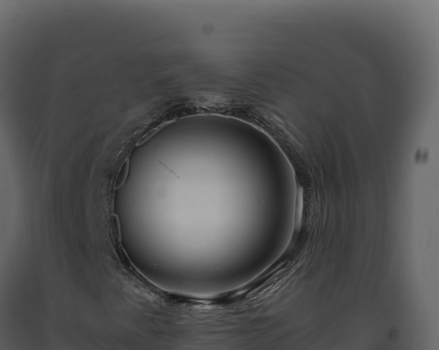 X0000093491345200710191219
