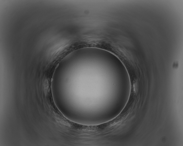 X0000093491347200710191219