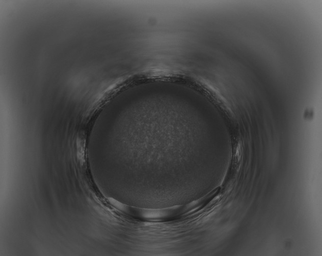 X0000093491348200710191219