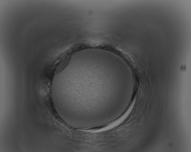 X0000093491349200710191219