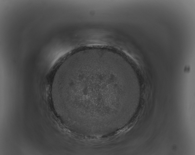X0000093491351200710191219