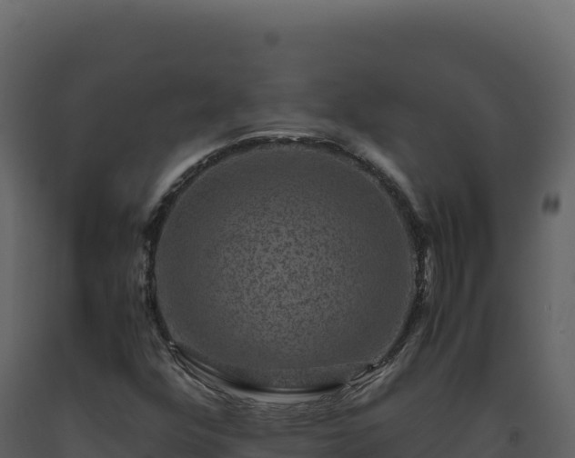 X0000093491352200710191219