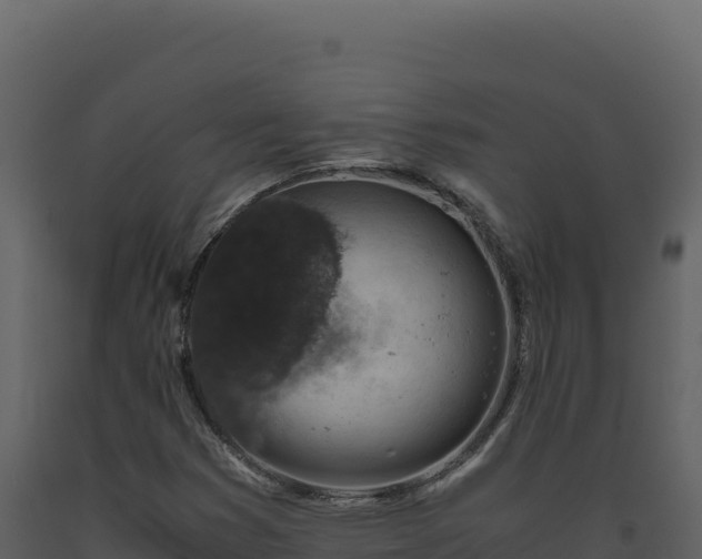 X0000093491353200710191219