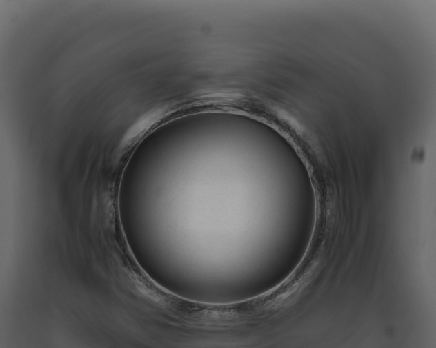 X0000093491354200710191219