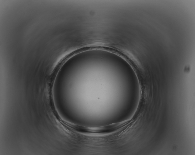 X0000093491356200710191219