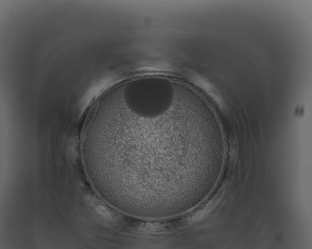 X0000093491357200710191218