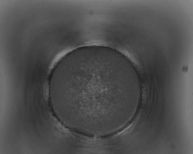 X0000093491358200710191218