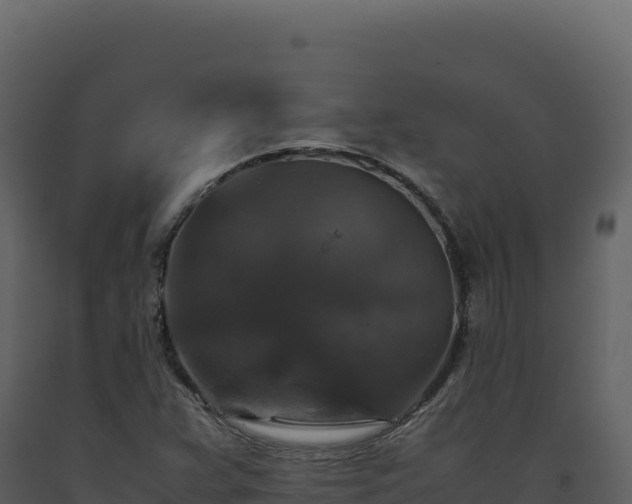 X0000093491359200710191218