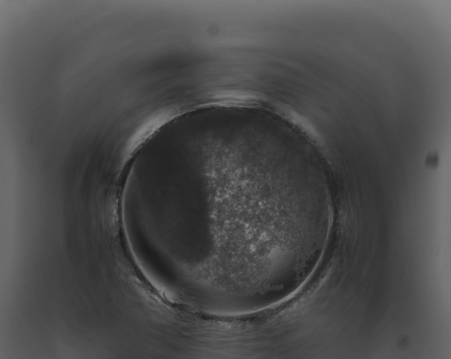 X0000093491362200710191218