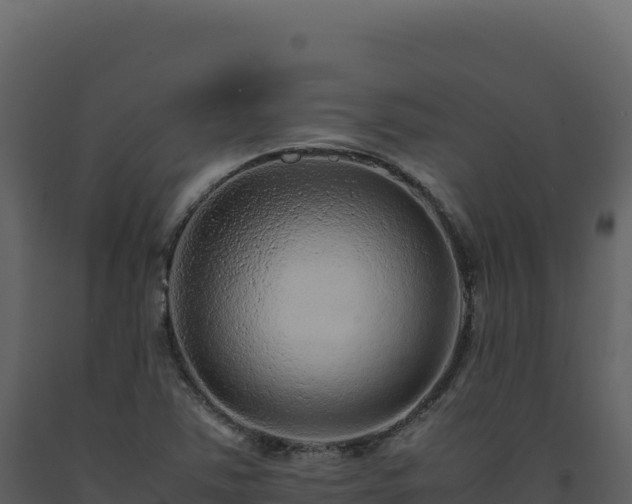 X0000093491363200710191218