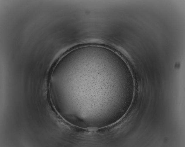X0000093491364200710191218
