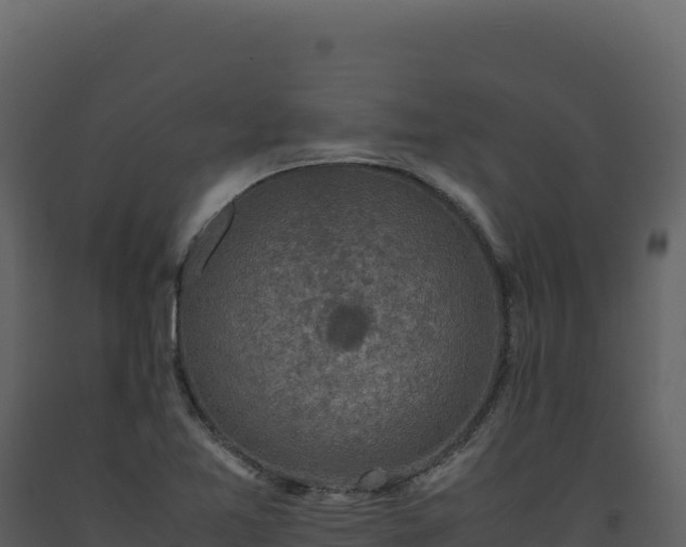X0000093491365200710191218