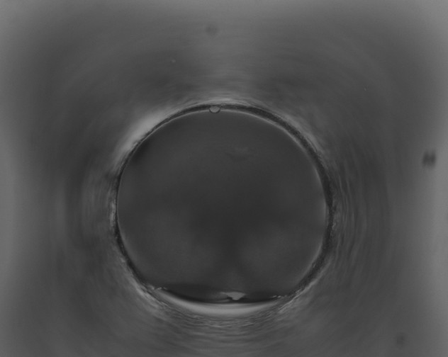 X0000093491367200710191218
