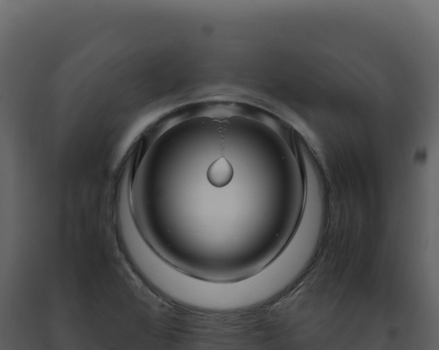 X0000093491368200710191218