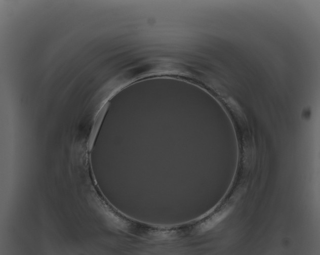 X0000093491369200710191218