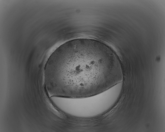X0000093491371200710191218
