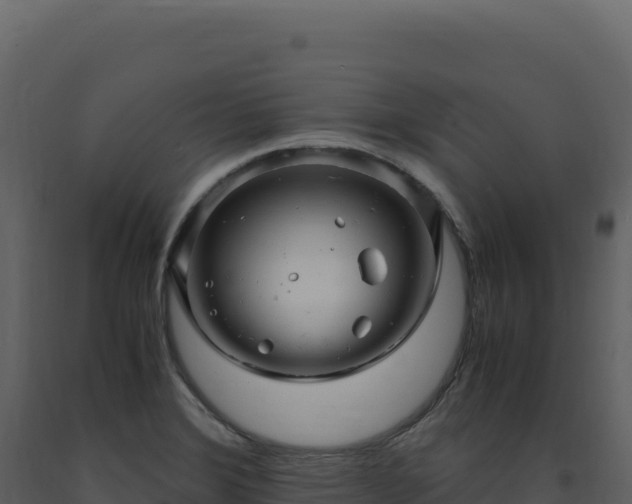 X0000093491372200710191218