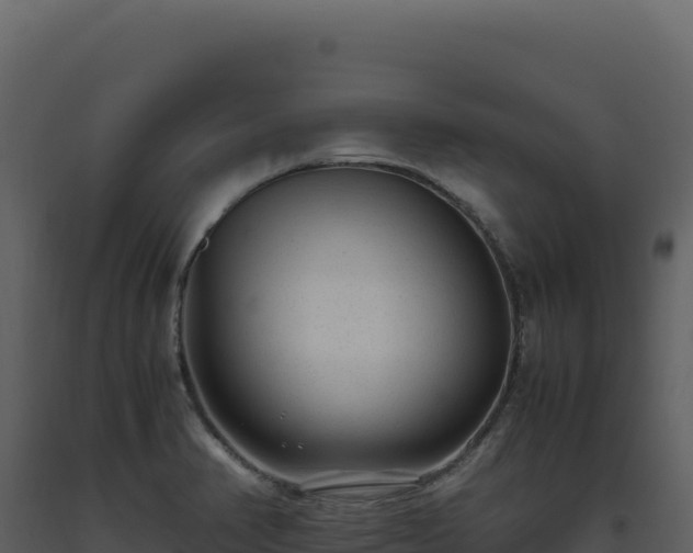 X0000093491374200710191218