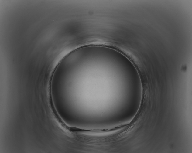 X0000093491375200710191218