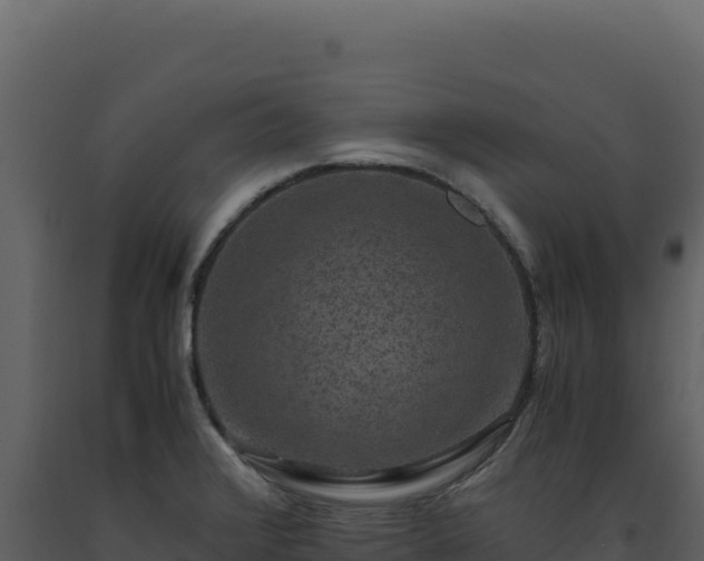 X0000093491376200710191218