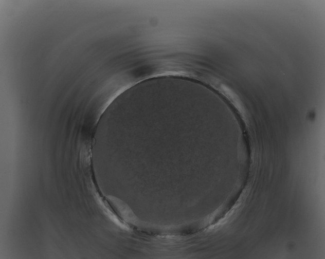 X0000093491377200710191218