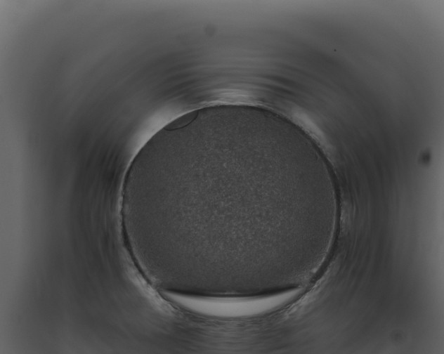 X0000093491378200710191218