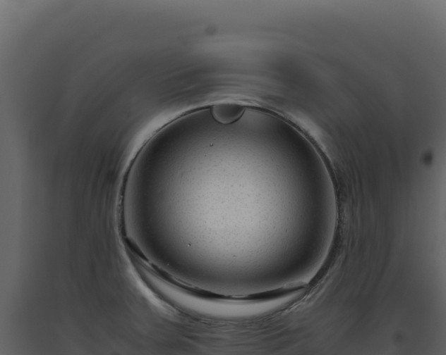 X0000093491379200710191218