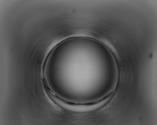 X0000093491380200710191218