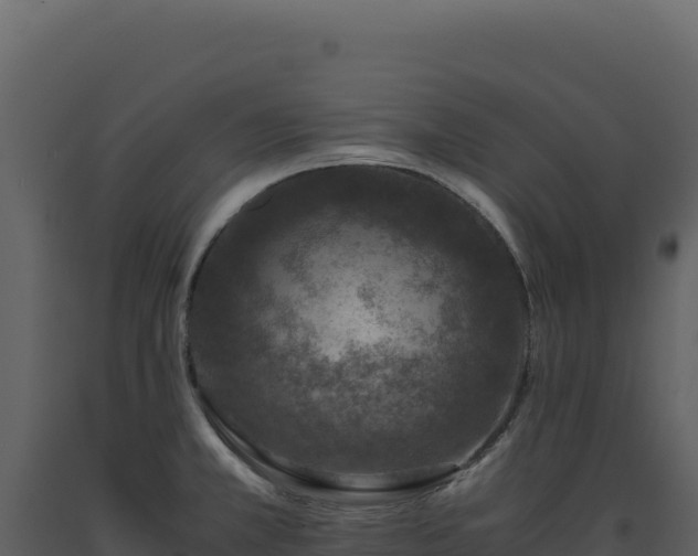 X0000093491381200710191218