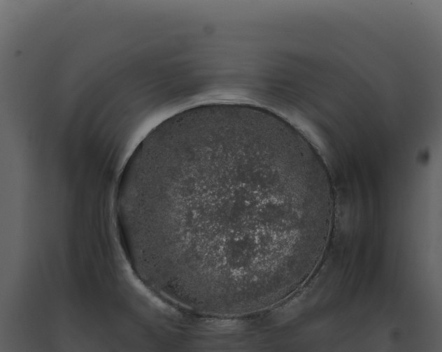 X0000093491382200710191218