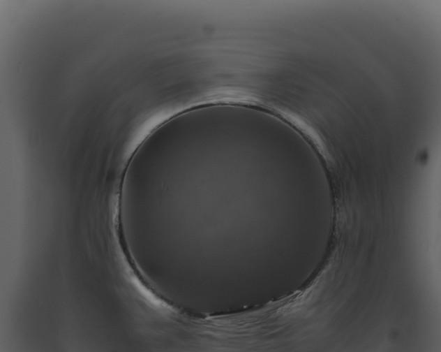 X0000093491383200710191218