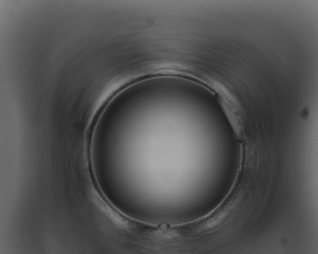X0000093491384200710191218