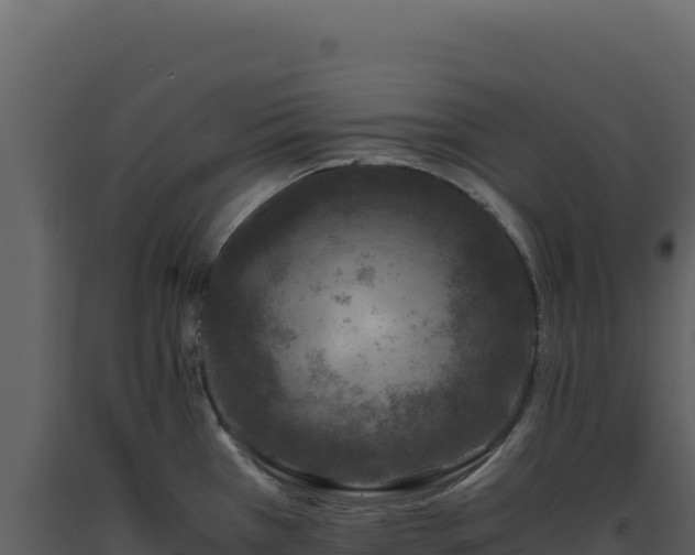 X0000093491385200710191218