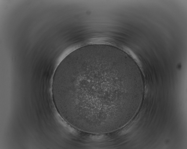 X0000093491386200710191218