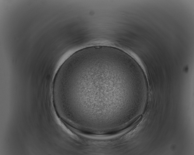 X0000093491389200710191218