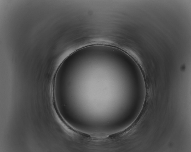 X0000093491391200710191218