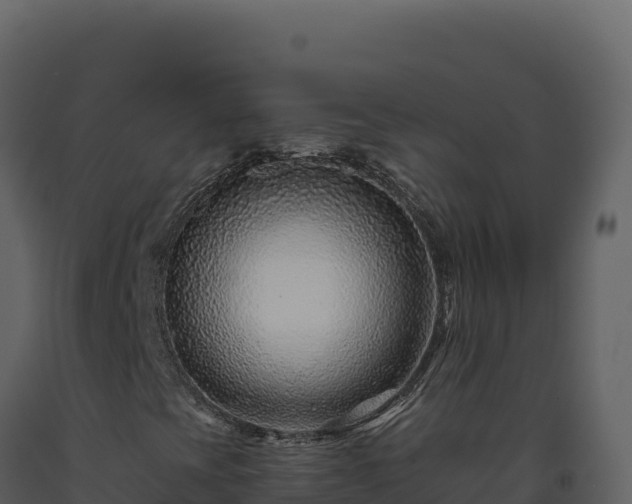 X0000093491393200710191217